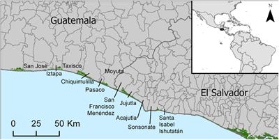 Coastal Ecosystem Services Modeling in Latin America to Guide Conservation and Restoration Strategies: The Case of Mangroves in Guatemala and El Salvador